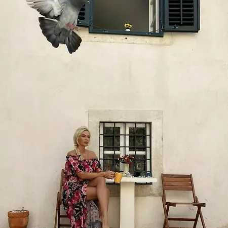 Apartmán Royal - Old Town